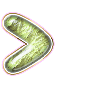 249
