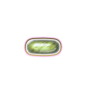 251