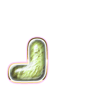 255