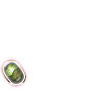 256