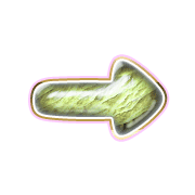 262