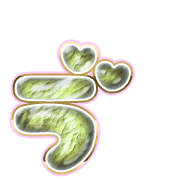 267