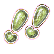268