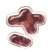 011
