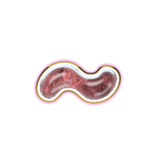 224
