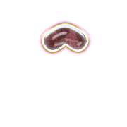 231
