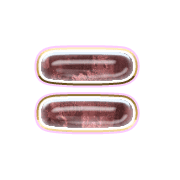 239
