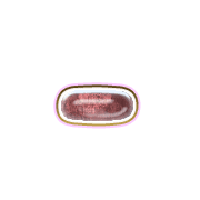251
