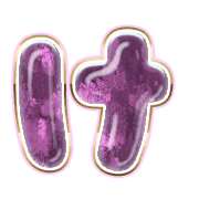 009