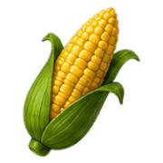 036