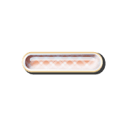251