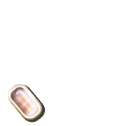 256