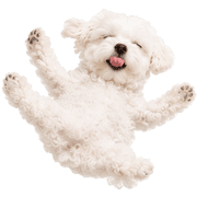 015