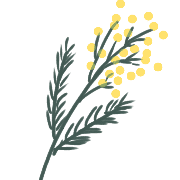 005