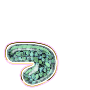 052