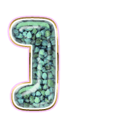 241