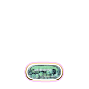 250