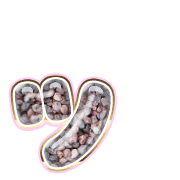 132