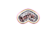 231