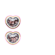 244