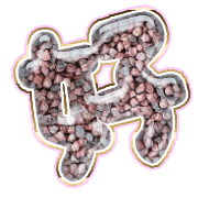 290