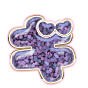137