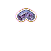 231