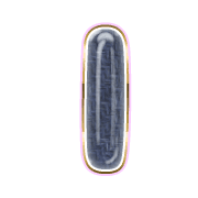 242