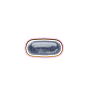 251
