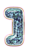 241