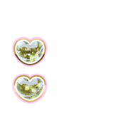 244