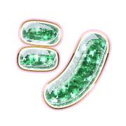 092