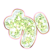 006