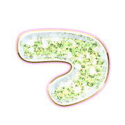 018
