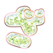 061
