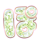 080