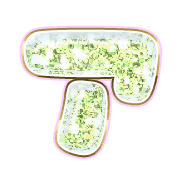 081