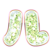121