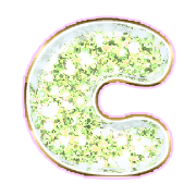 164