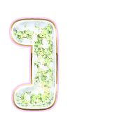 241