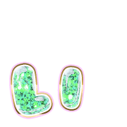 048