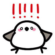 019