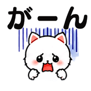 031