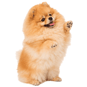 009