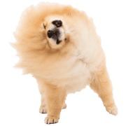037