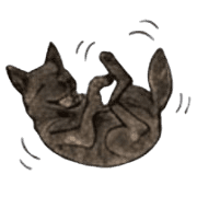 005