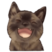 003