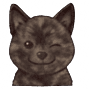 006