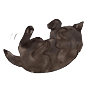 010