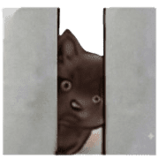 013